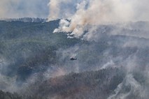 Na Češkem in v Nemčiji še naprej divja obsežen gozdni požar