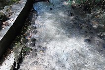 Arso na Bledu potrdil onesnaženje vode s fekalijami