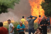 V Evropi letos pogorelo že skoraj "rekordnih" 660.000 hektarjev površin