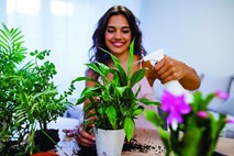 Spoznajte prednosti gojenja rastlin