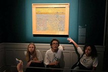 Okoljski aktivisti z grahovo juho nad Van Goghovega Sejalca