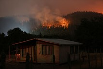 Gozdni požari v Čilu zahtevali več kot 20 smrtnih žrtev