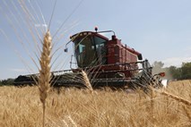 Bratislava in Kijev sklenila dogovor o uvozu ukrajinskega žita