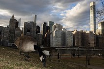 Fotoreportaža iz New Yorka: Živeti v hrupnem filmu