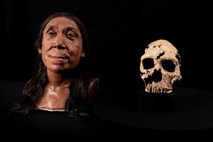 Znanstveniki rekonstruirali obraz neandertalke, ki je živela pred 75.000 leti