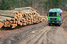 V državnem gozdarskem podjetju poteka preiskava sumljivih nepremičninskih poslov