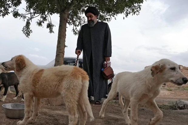 Šiitski duhovnik v Iranu skrbi za ulične pse