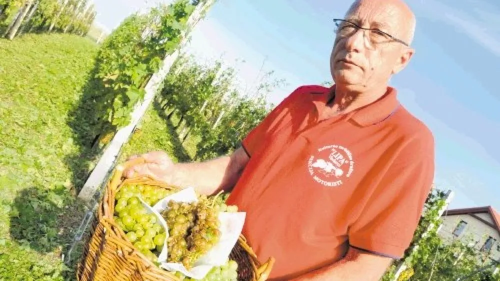 Boris Vlaj: Tudi več kot osemdeset let stari domačini ne pomnijo tak&scaron;nega divjanja narave.