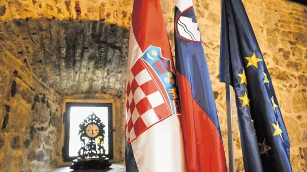 Tomaž Zajel&scaron;nik/dokumentacija Dnevnika