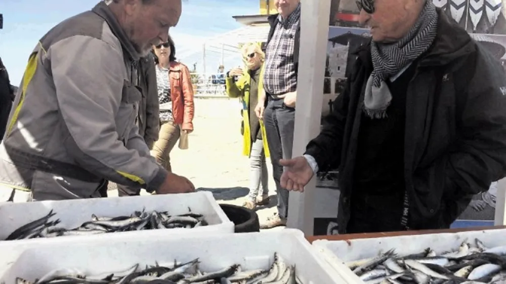 Du&scaron;an Kmetec (levo) in Sergio Perentin sta na piranskem mandraču solila sardele in sardone.