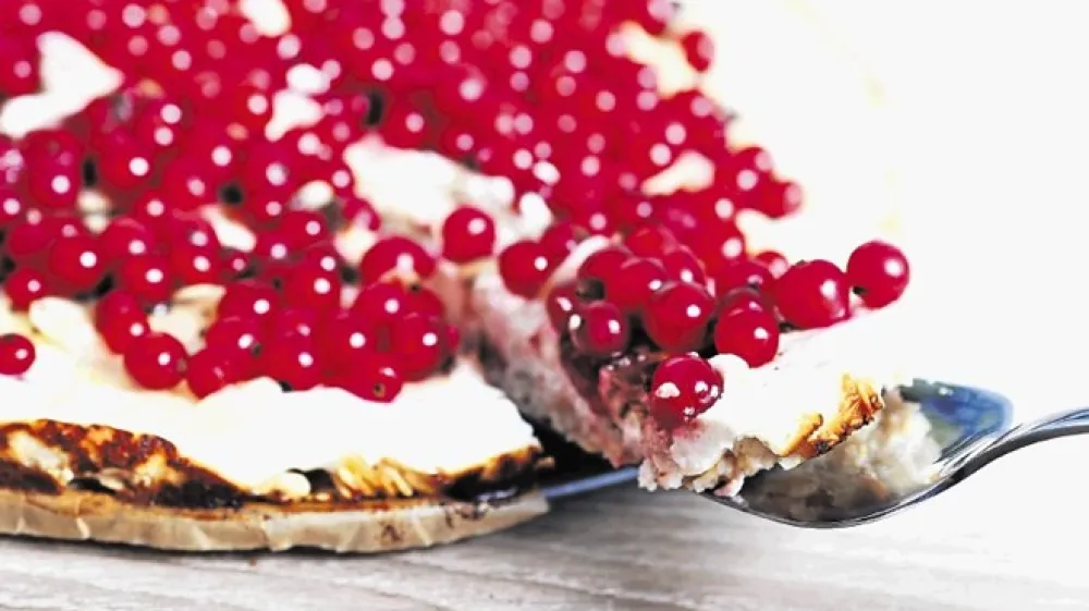 Ribez se izvrstno obnese na različnih pitah in skutnih tortah.