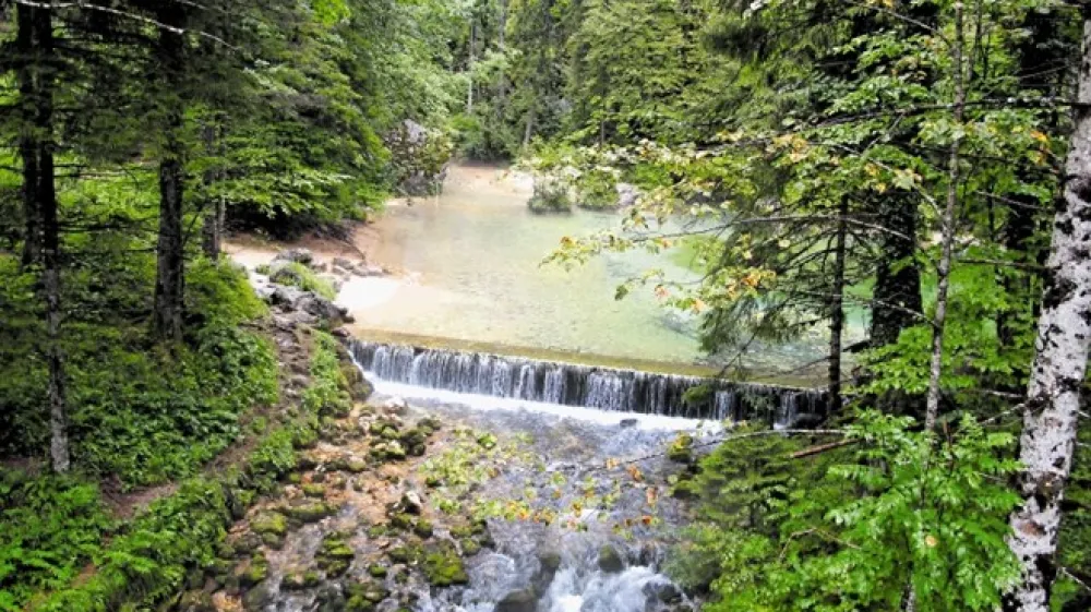 V jezerce se iz več kra&scaron;kih izvirov ob obrežju  zliva Bistrica. Anita Vo&scaron;njak