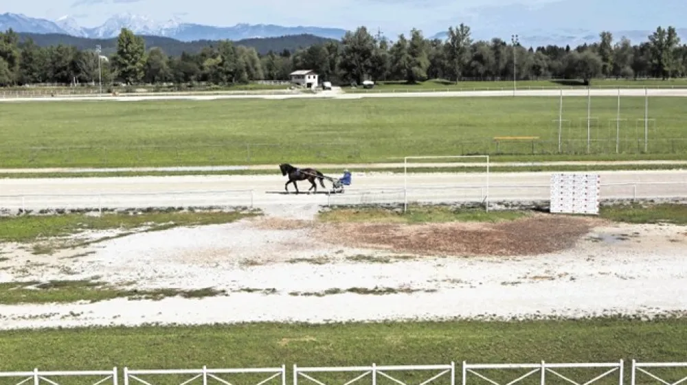Tribune je dal zavod &Scaron;port Ljubljana že delno obnoviti, do leta 2019 pa bi radi hipodrom preuredili v sodobno konjeni&scaron;ko sredi&scaron;če.