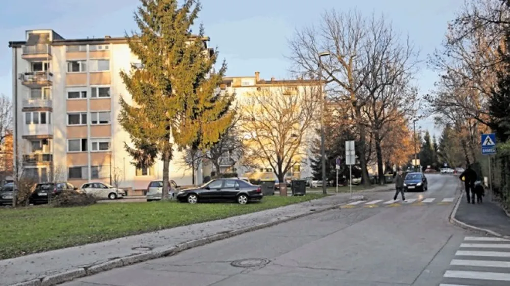 Ob eni strani Tomažičeve ulice stojijo enodružinske hi&scaron;e, ob drugi bloki, ki preidejo v industrijsko cono.