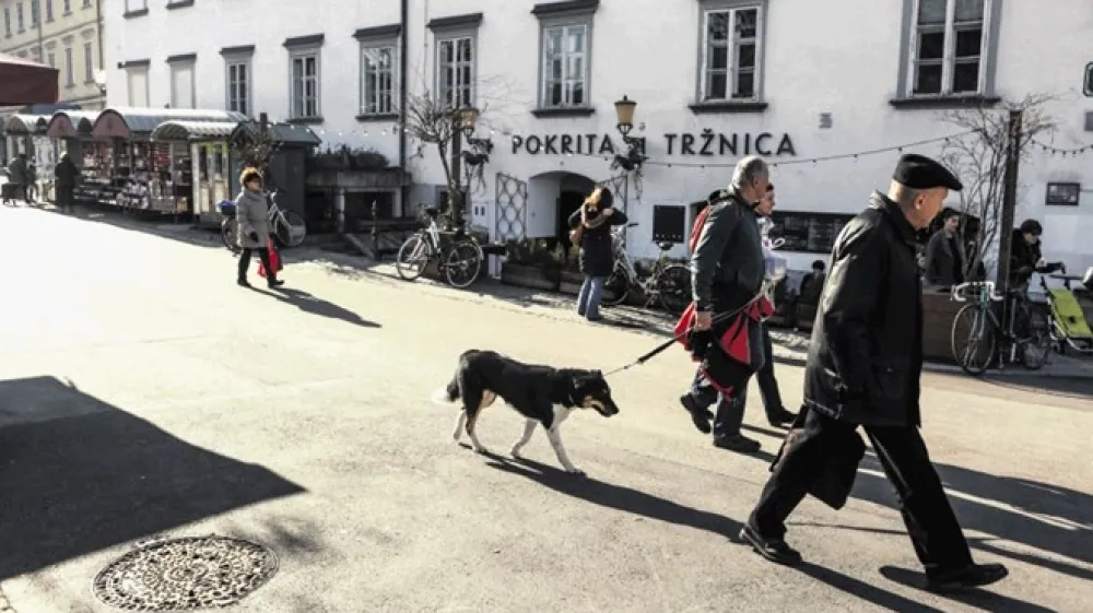 Na ljubljanski občini zagotavljajo, da bodo kljub težavam, ki jih imajo zaradi zahteve za določitev pripadajočih zemlji&scaron;č tudi na delu ljubljanske tržnice, vztrajali z uresničitvijo gradnje parkirne hi&scaron;e, prenove tržnice in dozidave Mahrove hi&scaron;e.