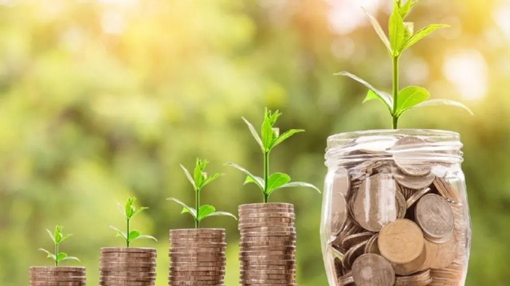 Definiranje osebnega ali družinskega proračuna, investiranje in delovanje kreditnih kartic so znanja, ki jih obvlada relativno majhen delež ljudi, a lahko pomembno vplivajo na kakovost  življenja.