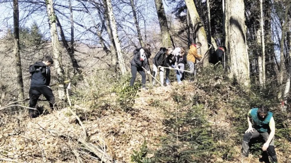 Srednje&scaron;olci in člani dru&scaron;tva za tretje življenjsko obdobje so v Panovcu odstranjevali tujerodne invazivne rastline, ki so tja za&scaron;le večinoma  z okrasnih vrtov.