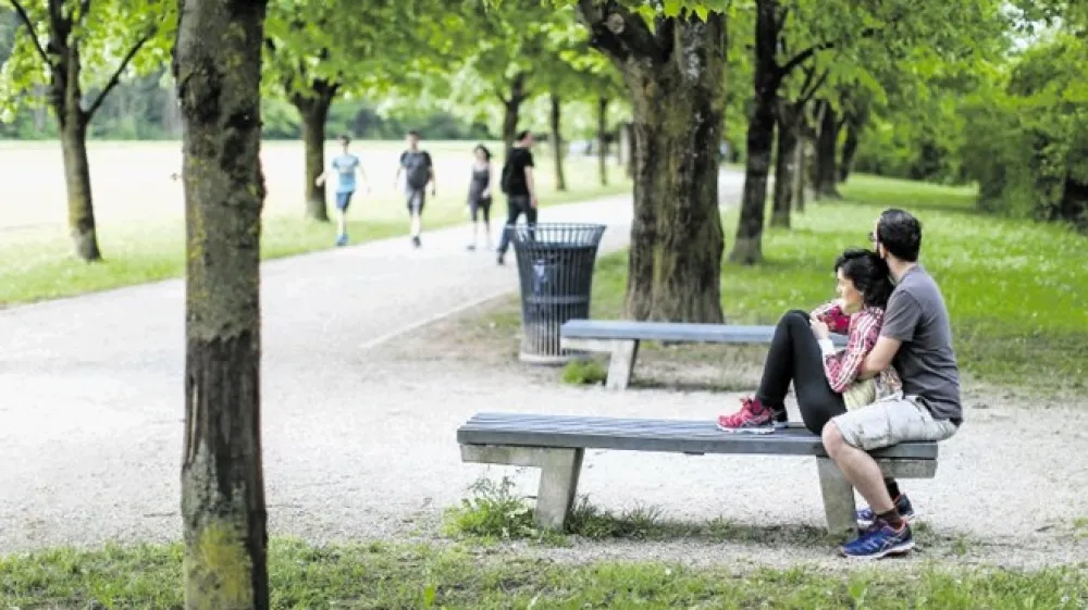 V zavetju dreves je na PST tudi v vročih dneh &scaron;e vedno prijetno hladno.