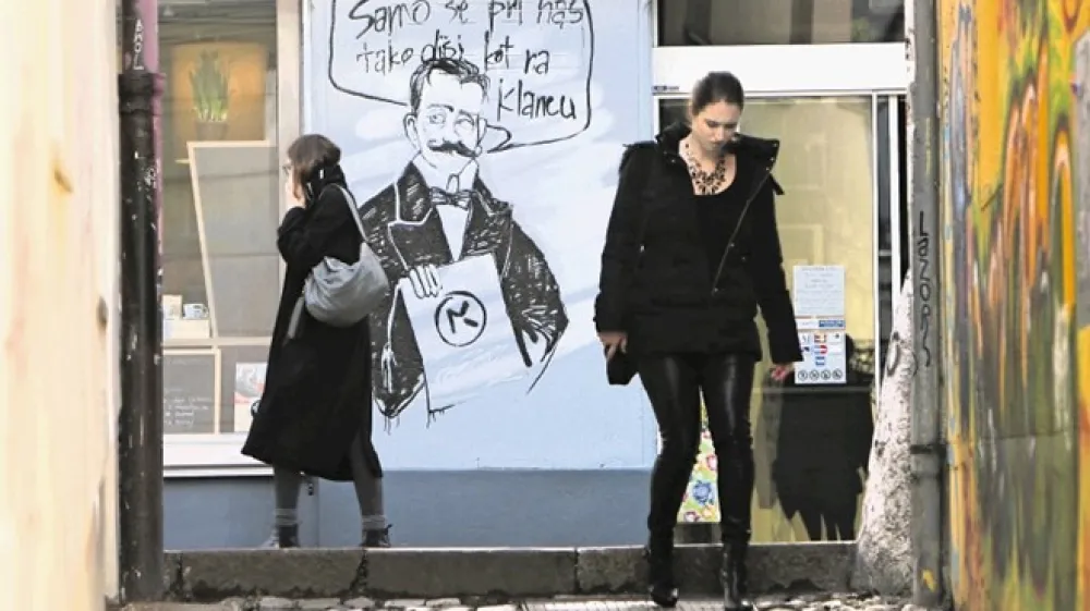 Zakon o javni rabi sloven&scaron;čine določa, da govorno in pisno sporazumevanje na vseh področjih javnega življenja v državi, z izjemo rabe na območjih narodnih manj&scaron;in, poteka v sloven&scaron;čini. A nekatere v Sloveniji registrirane gospodarske družbe bi imele spletne strani raje samo v angle&scaron;čini.