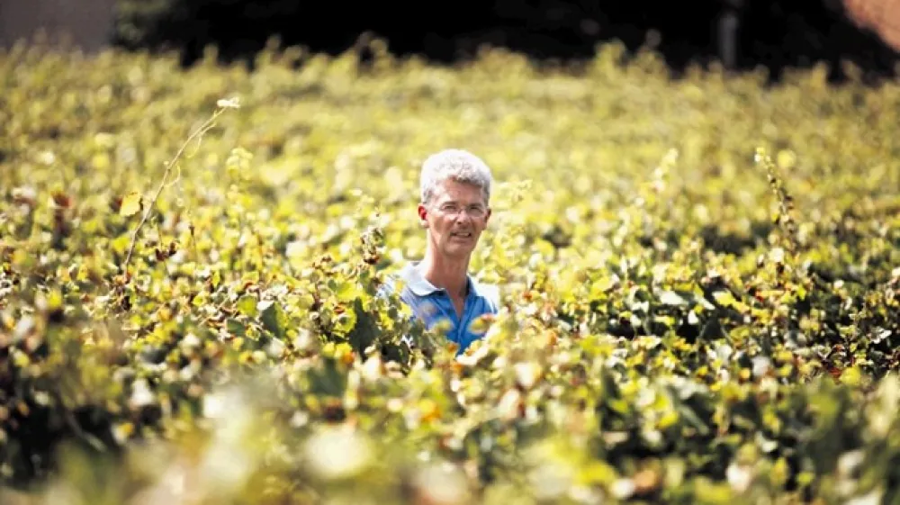 Valter Mlečnik, vinogradnik iz Bukovice.