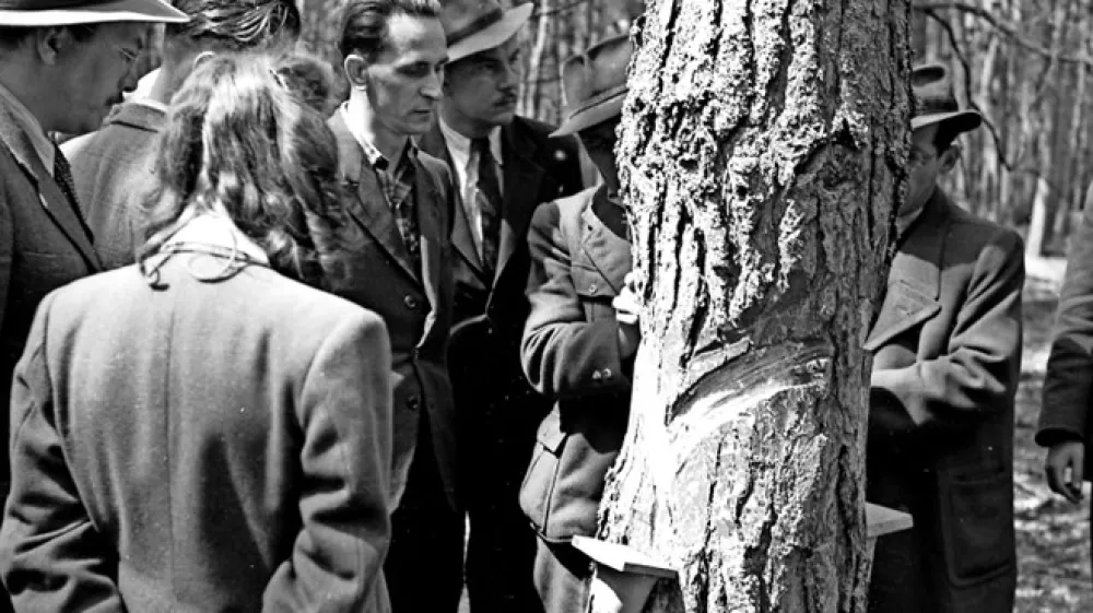 Zastopniki Tanjuga, Tiskovnega urada LRS, radia, Ljudske pravice in Slovenskega poročevalca si  na Ravnem polju ogledujejo prve baze, ki  na&scaron;i industriji dajejo novo domačo surovino; 23. april 1947.