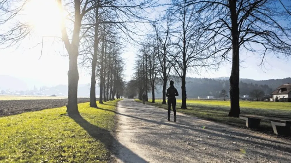 Strokovnjaki  se ne strinjajo o vplivu vitamina D na potek  covida-19, enotno pa poudarjajo, da lahko hudo pomanjkanje tega vitamina povzroči veliko &scaron;kode. Tudi jeseni in pozimi je zato treba ob  sončnih dneh  v naravo ali vsaj na balkon.