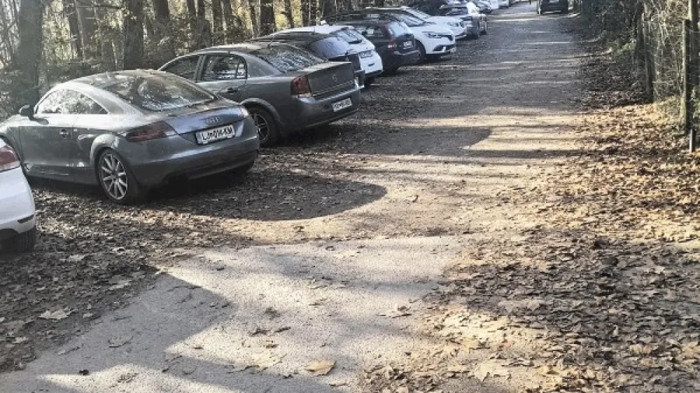 Na mestnem oddelku za gospodarske dejavnosti in promet pravijo, da dobivajo &scaron;tevilne pritožbe zaradi parkiranih vozil v &Scaron;turmovi ulici oziroma na tamkaj&scaron;njih zasebnih povr&scaron;inah.