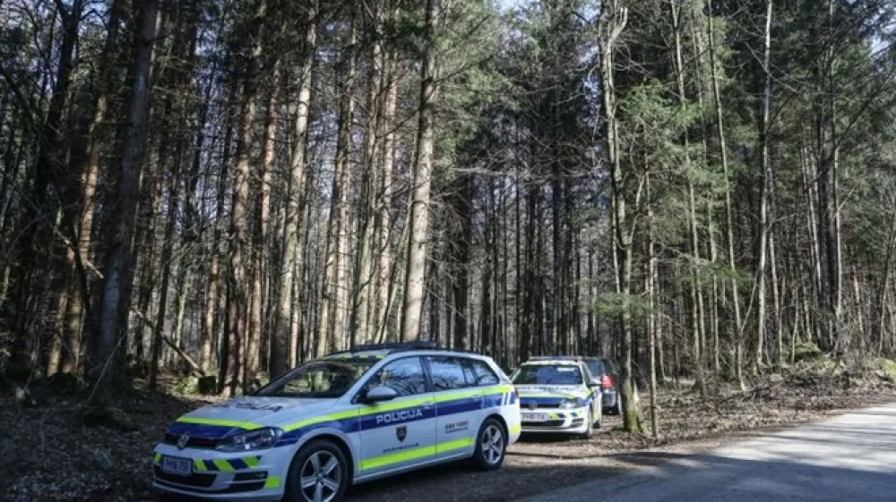 Gozd med Polico in zaselkom Zgornje Duplice v občini Grosuplje..