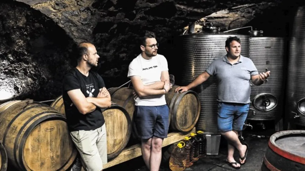 Andraž Ferjančič, Mitja Kodre in Kristjan Mesesnel (od leve proti desni), vinarji  z Goč