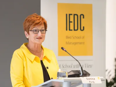Danica Purg, IEDC