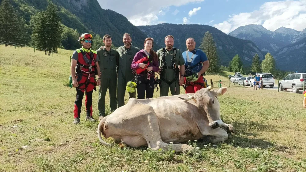 Gorska Re&scaron;evalna Zveza Slovenije