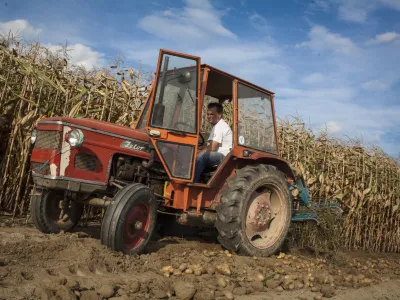 - koruza - traktor - Prekmurje 2015 - Jesen na podeželju - kmetijstvo - poljedelstvo -   //FOTO: Luka CjuhaOPOMBA: ZA OBJAVO V PRILOGI &ndash; DNEVNIKOV OBJEKTIV - REPORTAŽA 2015.