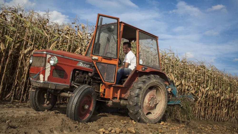 - koruza - traktor - Prekmurje 2015 - Jesen na podeželju - kmetijstvo - poljedelstvo -   //FOTO: Luka CjuhaOPOMBA: ZA OBJAVO V PRILOGI &ndash; DNEVNIKOV OBJEKTIV - REPORTAŽA 2015.