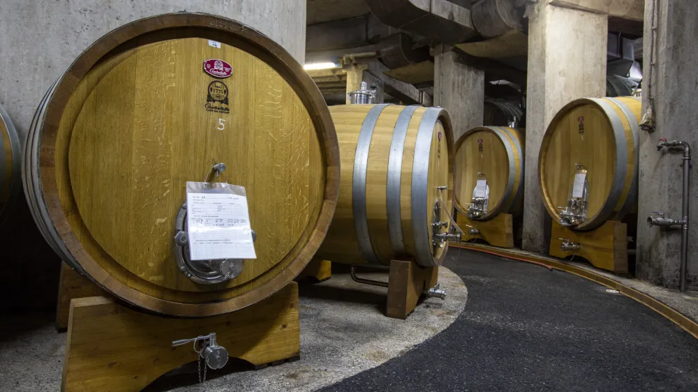 - Puklavec Family Wines, Vina Jeruzalem Ormož- 02.08.2019 &ndash; Občina Ormož &ndash; reportaža za rubriko Neodkrita mesta //FOTO: Matjaž Ru&scaron;t