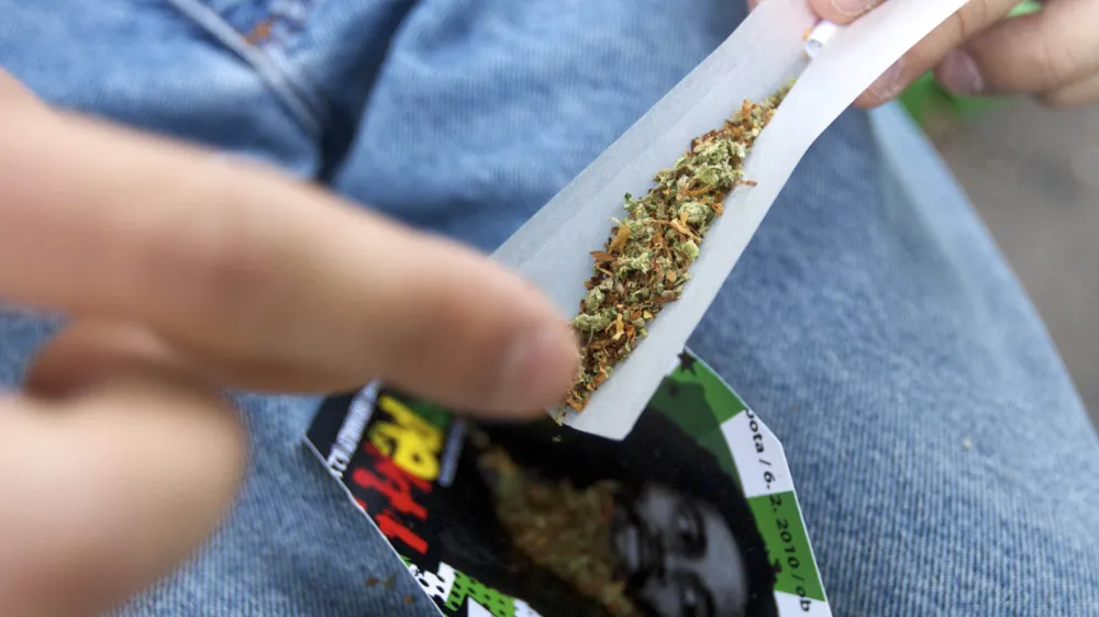 - Marihuana Mar&scaron; 2010, organizirala &Scaron;tudentska organizacija Univerze v Ljubljani; Argentinski park<br><br><br>//FOTO: Jaka Adamič