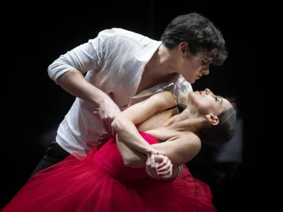 Madame Bovary, dramski balet po motivih istoimenskega romana Gustava Flauberta. Libreto, koreografija in režija so delo Valentine Turcu. F Tiberiu Marta<br>