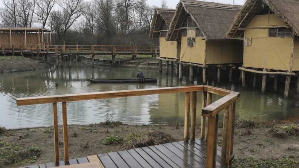- koli&scaron;čarska naselbina Morostig &ndash; hi&scaron;a narave in koli&scaron;č. - 01.12.2022 &ndash; IG &ndash; Interpretacijski center - odprtje razstave in koli&scaron;čarske naselbine - zaključek operacije Interpretacija biotske raznovrstnosti in dedi&scaron;čine koli&scaron;č na Ljubljanskem barju (Na-kolih) //FOTO: Jaka Gasar