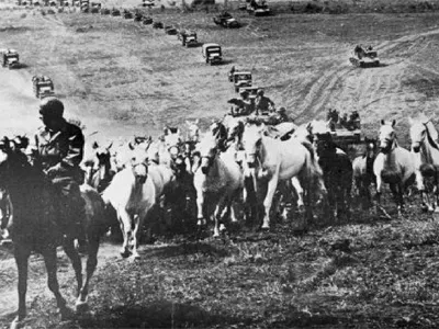 Leta 1945 je ameri&scaron;ka vojska v neverjetni akciji re&scaron;ila čredo 1000 konjev, med katerimi je bilo tudi 340 lipicancev 