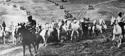 Leta 1945 je ameriška vojska v neverjetni akciji rešila čredo 1000 konjev, med katerimi je bilo tudi 340 lipicancev 