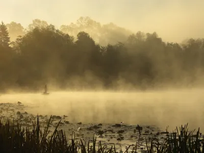 Fishing in the morning (Lonjsko polje, Croatia).