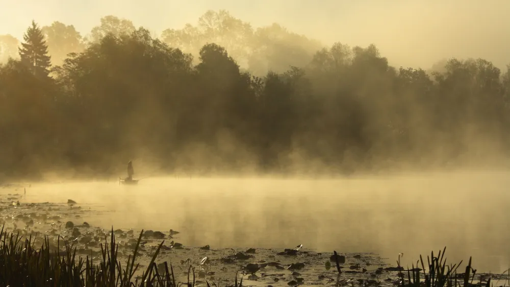 Fishing in the morning (Lonjsko polje, Croatia).