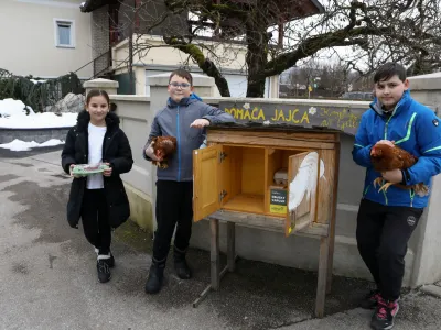 Nika, Luka in Jan vsak dan poskrbijo, da je omarica napolnjena s svežimi jajci.