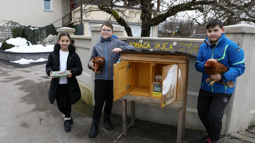 Nika, Luka in Jan vsak dan poskrbijo, da je omarica napolnjena s svežimi jajci.