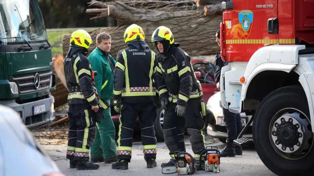 03.02.2023., Zagreb - Jak vjetar na Fallerovom setalistu srusio je stablo jablana na parkiraliste te ostetio vise vozila. Photo: Zeljko Hladika/PIXSELL
