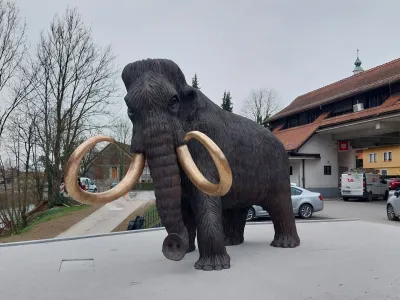 Kip mamuta bodo slavnostno &raquo;odkrili&laquo; v soboto, ko bo ob avtobusni postaji organizirana tudi kraj&scaron;a slovesnost.