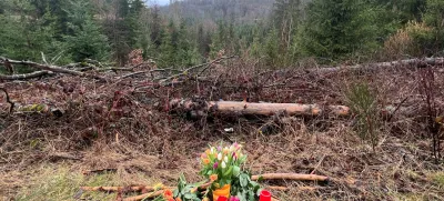 Rože in sveče na kraju, kjer je umrla 12-letna Luise. »Za nas se je svet ustavil,« so v osmrtnici zapisali njeni starši. Foto: Reuters