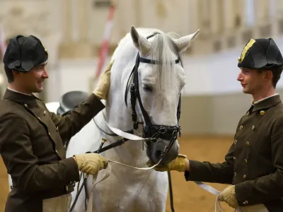 Jutranji trening v dunajski &scaron;panski jahalni &scaron;oli: SAMO ZA ČLANEK V DNEVNIKU 19.4.23!!!