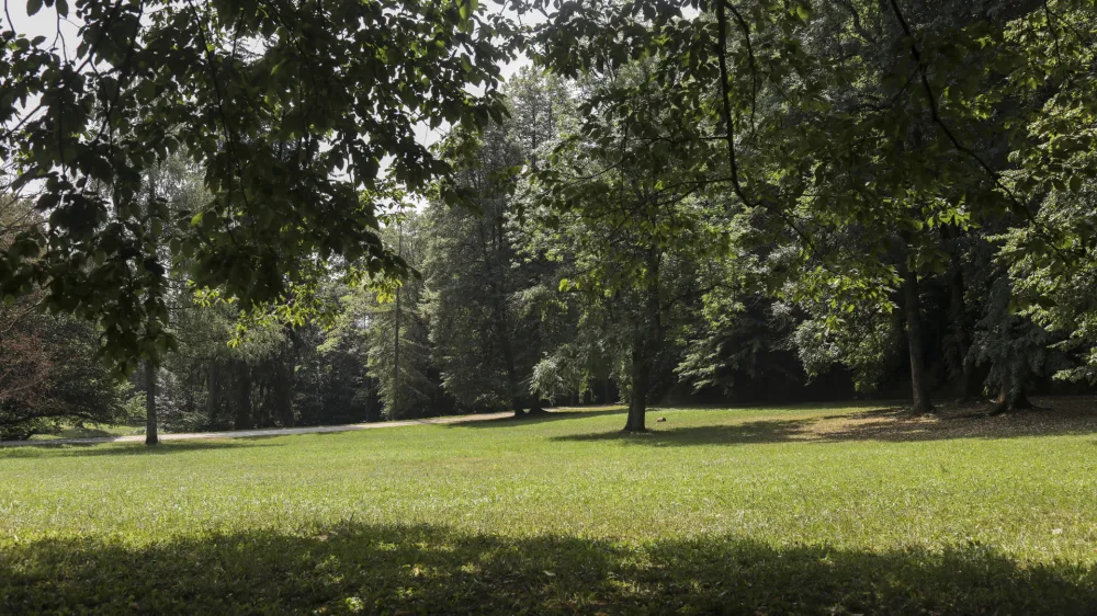 - 28.06.2022 &ndash; Park Tivoli v Ljubljani - Plečnikovo letno gledali&scaron;če - rekonstrukcija Plečnikovega avditorija v ljubljanskem parku Tivoli - gradbi&scaron;če //FOTO: Jaka Gasar