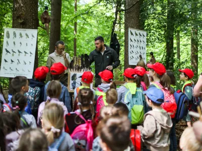 - 23.05.2023 - Vseslovenski Teden gozdov 2023 na temo Gozdovi prihodnosti - Prireditev "Gozd, voda in mlinček", Sračja dolina pri Črnučah - potok Črnu&scaron;njica //FOTO: Bojan Velikonja