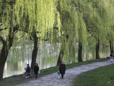 Ljubljanica - drevored<br><br> - 04.04.2023 - pomlad v mestu &ndash; cvetenje -<br><br> <br>//FOTO: Luka Cjuha